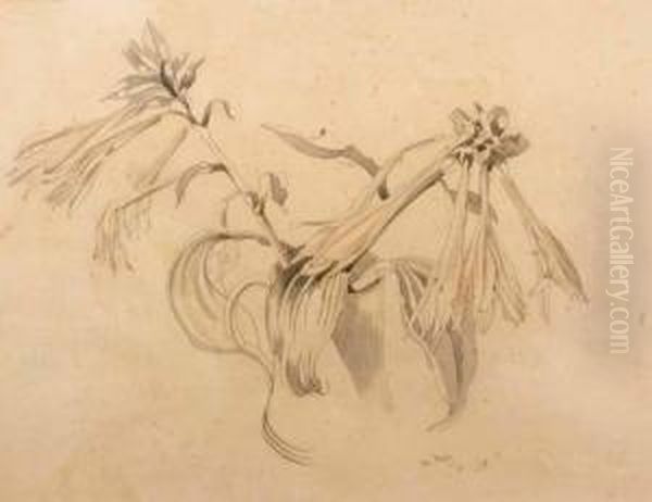 Flowers In A Tankard - view 1