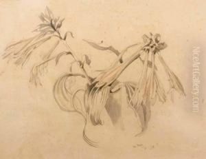 Flowers In A Tankard