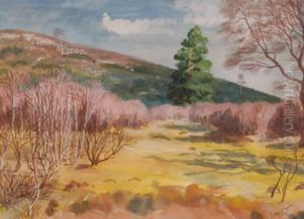 Untitled - view 1