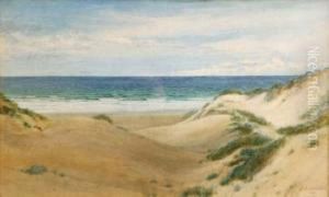 Barestrand Of Hillocks Heaped From Over Shifting Sand Barestrand Of Hillocks Heaped From Over Shifting Sand