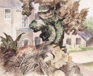 Fallen Tree by John Nash