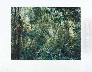 Struth (thomas) Paradise 9 (xi Shuang Banna) Provinz Yunnan/china 1999 by Thomas Nast