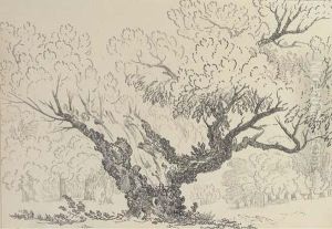 Study Of An Oak Tree, Hyde Park by John Claude Nattes