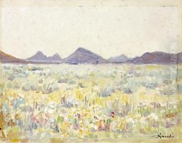 Namaqualand In Bloom - view 1