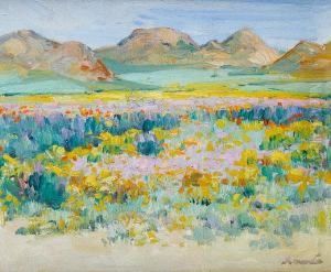 Namaqualand Flowers