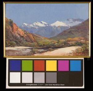 Paarl Valley With Snow-capped Mountains by Hugo Pieter Naude