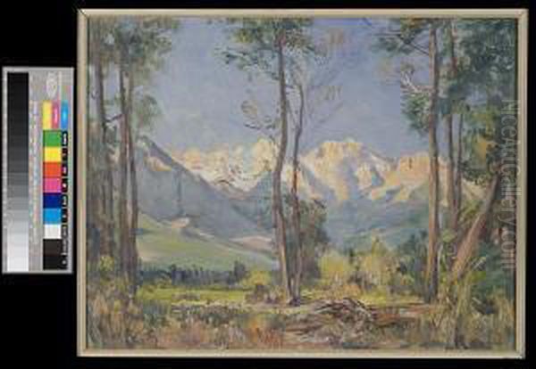 The Worcester Mountains - view 1