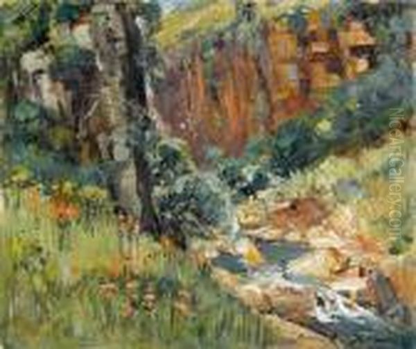 Howick Falls, Natal - view 1