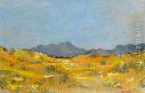 Spring, Cape Flats - view 1