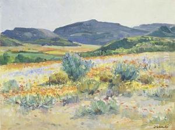 Spring Flowers, Namaqualand - view 1