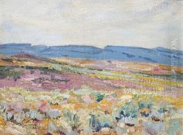 A Mountain Pass, Namaqualand - view 1