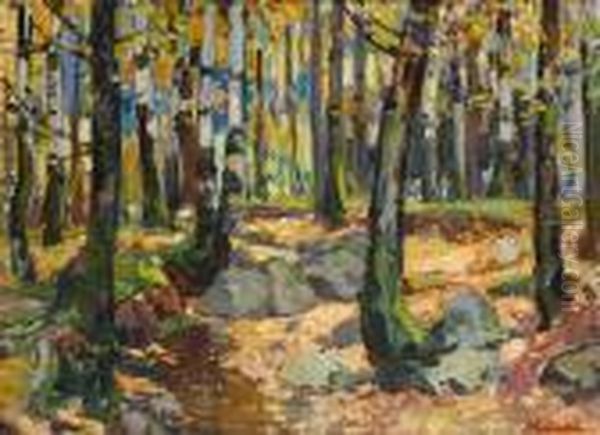 Forest - view 1