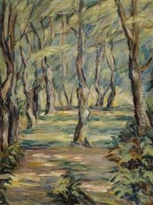 Forest Glade Forest Glade