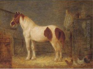 A Horse In A Barn