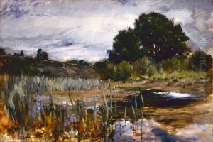 Polling Landscape by Frank Duveneck