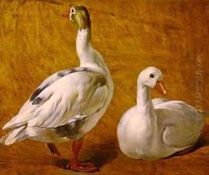 Study of Geese by Alexandre-Francois Desportes