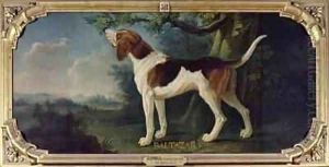 Baltazar a Dog from the Conde Pack by Alexandre-Francois Desportes