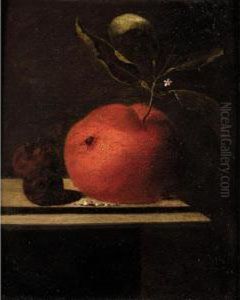 A Still Life Of An Orange And Two Medlars Upon A Ledge