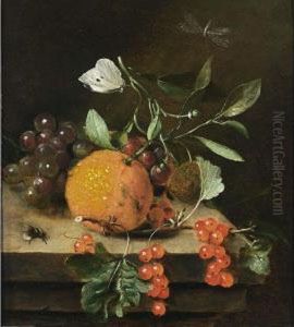 A Still Life Of An Orange, 
Grapes And Red Berries, Together With A White Butterfly, A Dragonfly And
 A Bee, All On A Wooden Ledge by Marten Nellius