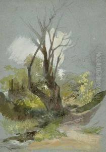 Waldstuck Mit Dem Stamm Einer Abgestorbenen Edelkastanie by Friedrich Nerly
