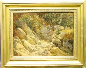 A Sunlit Streambed by Friedrich Nerly