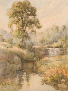A Summers Evening