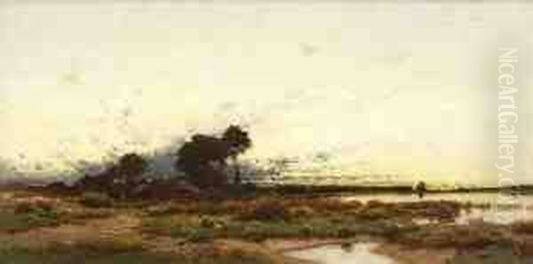 Moorlandschaft - view 1
