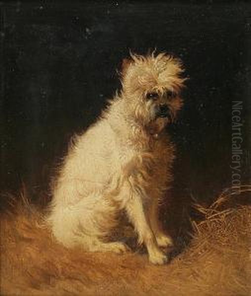 Dog Portrait - view 1