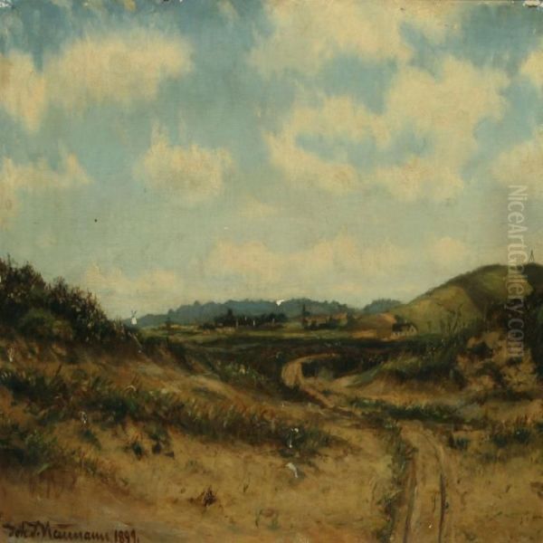 Landscape - view 1