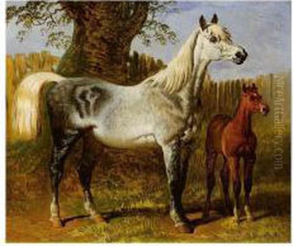 A Grey Mare And Foal - view 1