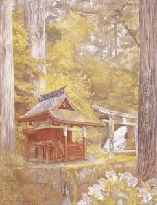 Pagoda In The Woods, Nikko, Japan