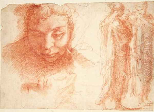 Studies for the head of a youth looking down and for the Virgin of the Annunciation, c.1527-28 - view 1