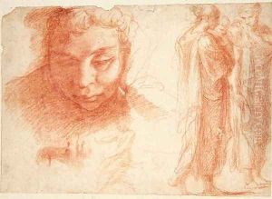 Studies for the head of a youth looking down and for the Virgin of the Annunciation, c.1527-28 by Polidoro Da Caravaggio (Caldara)