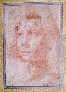 Head of a young boy turned to the left by Polidoro Da Caravaggio (Caldara)