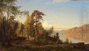 Fjordparti