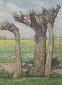Landscape With Pollard Willows by Jaap Nieweg