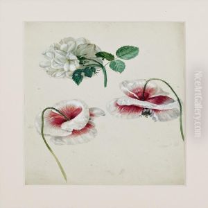 Poppys And Rose