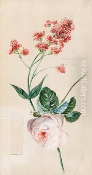 Blumenstudie Mit Rose - view 1
