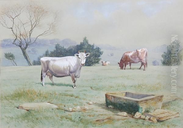 Cattle Grazing In A Field - view 1