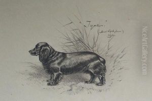 'tyne', Study Of A Dachshund by Basil J. Nightingale