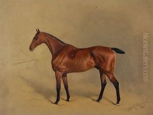 Portrait Of A Bay Racehorse