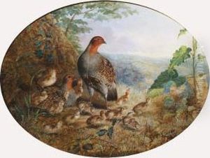 Pair Of Partridge And Young