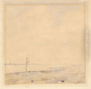 Landscape by Dirk Nijland