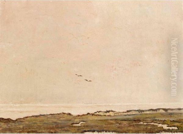 A Dune Landscape - view 1