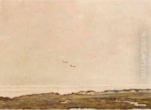A Dune Landscape by Dirk Nijland
