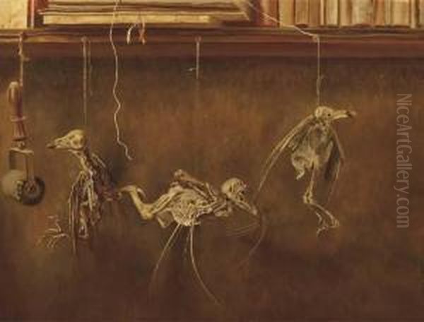 Stilleven Met Vogelskeletjes - A Still Life With Bird'sskeletons - view 1