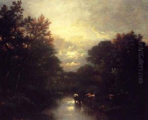 Sunset over the Forest