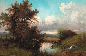 Cattle watering in a stream