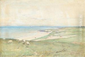 Sheep On A Headland