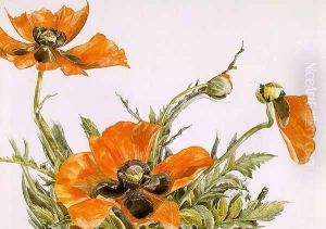 Poppies 1929 by Charles Demuth